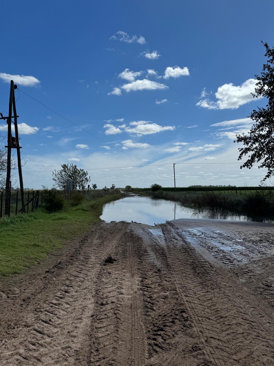 Dieron a conocer el estado de los caminos rurales del partido de 9 de Julio