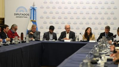 Una argentina competitiva: el agro reclama previsibilidad y reglas claras ante el Congreso