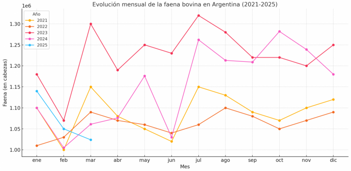¿Cambio de ciclo o solo una pausa? La faena argentina cayó en marzo, pero hay señales mixtas
