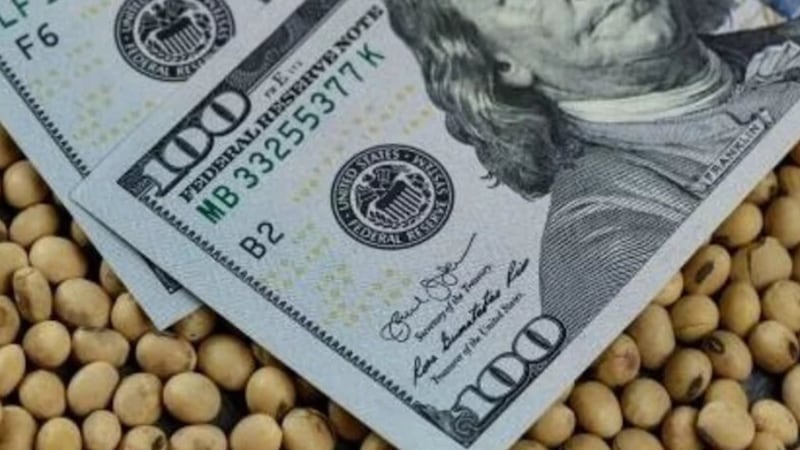 Fin del cepo: el agro espera señales del dólar y de los granos para activar las ventas