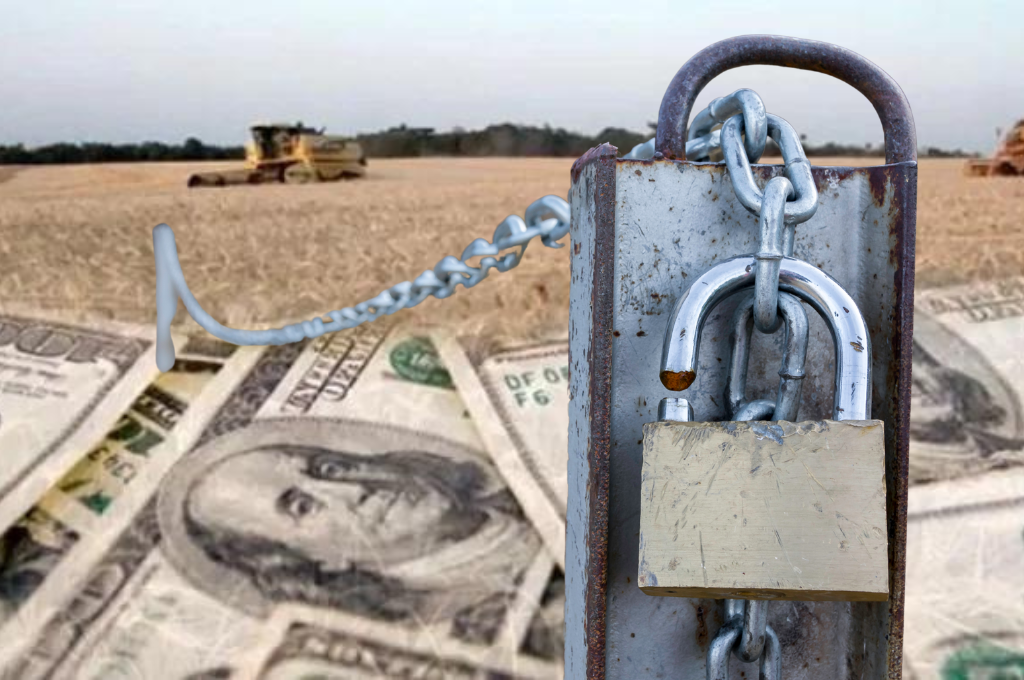 Optimismo en el sector agropecuario y agroindustrial tras los anuncios de Caputo