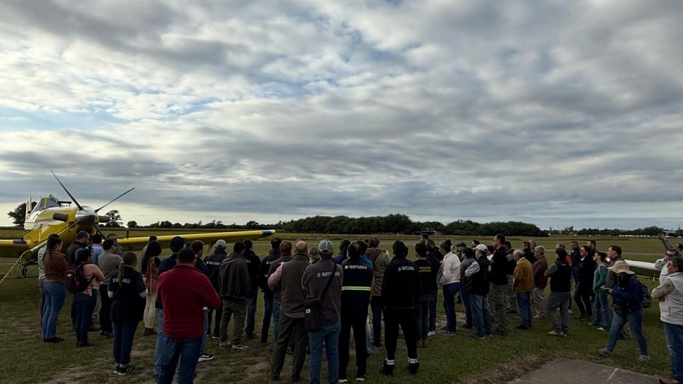 Tucumn fue sede de un taller internacional sobre control areo de langostas