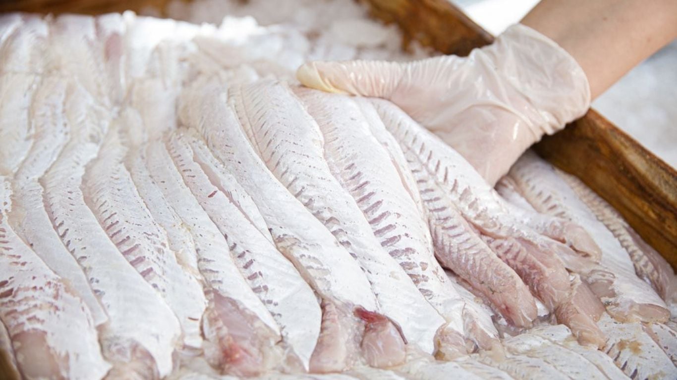 Semana Santa en vilo: escasez de pescado y un conflicto que deja al mar en silencio