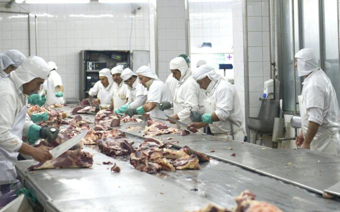 Exportaciones de carne vacuna argentina caen 36% en marzo: el peor trimestre desde 2022