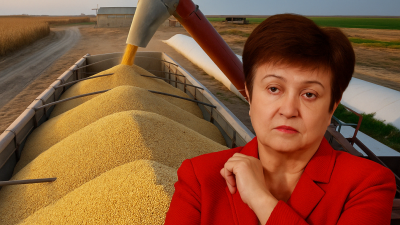 Guerra de aranceles y alerta del FMI: el freno global pone en jaque al agro exportador