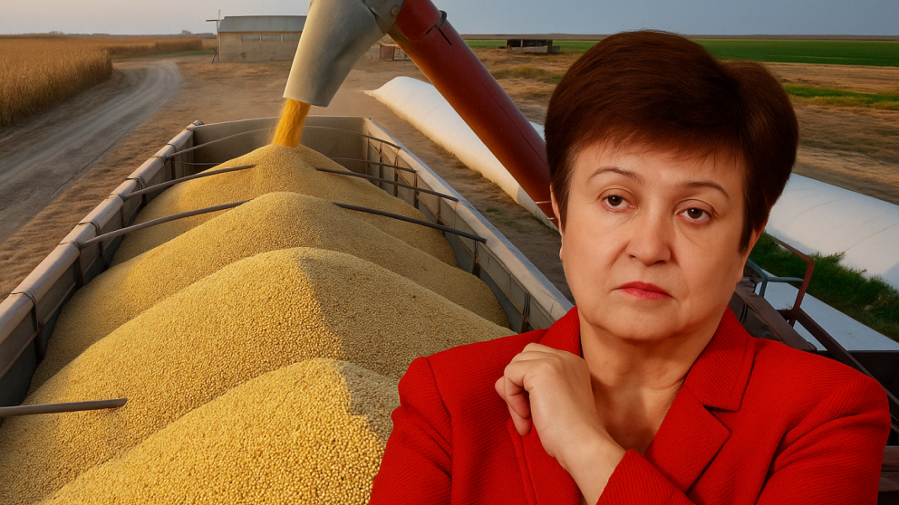 Guerra de aranceles y alerta del FMI: el freno global pone en jaque al agro exportador