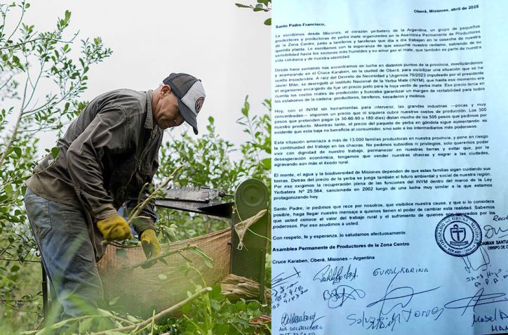Productores de yerba de Misiones apelan al Papa Francisco: "No pedimos subsidios, solo dignidad"