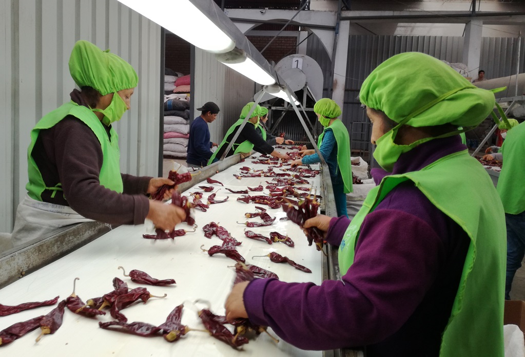 Boom exportador desde el interior del Perú: agroindustria y minería lideran un arranque récord en 2025