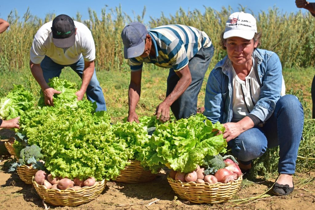 Bolivia refuerza lazos con Corea del Sur para potenciar el agro con innovación y asistencia técnica