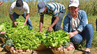 Bolivia refuerza lazos con Corea del Sur para potenciar el agro con innovación y asistencia técnica