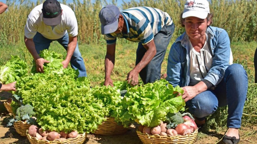 Bolivia refuerza lazos con Corea del Sur para potenciar el agro con innovacin y asistencia tcnica