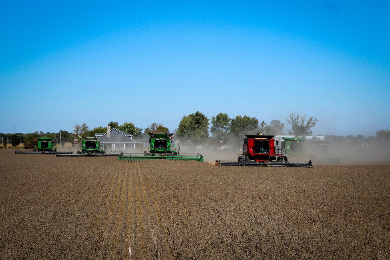 Dólar, cosecha y mercados globales: el agro argentino navega una semana clave