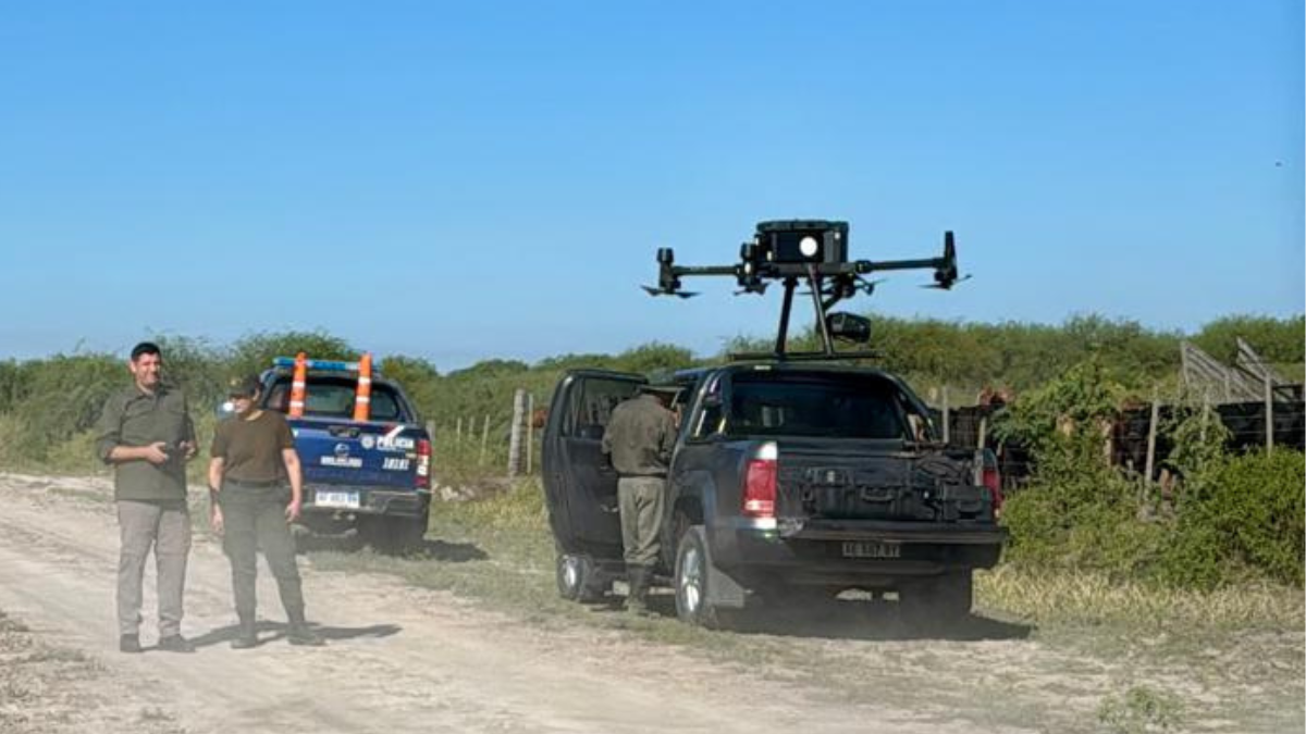Nos están desarmando": el abigeato arrasa con la ganadería en Santa Fe