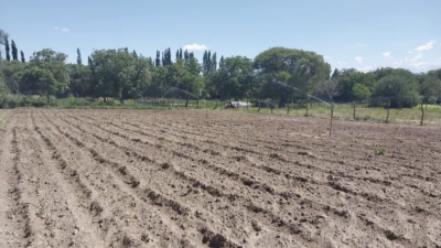Del sol al riego: productores de Catamarca amplían su frontera agrícola con energía renovable