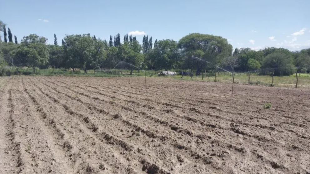 Del sol al riego: productores de Catamarca amplan su frontera agrcola con energa renovable