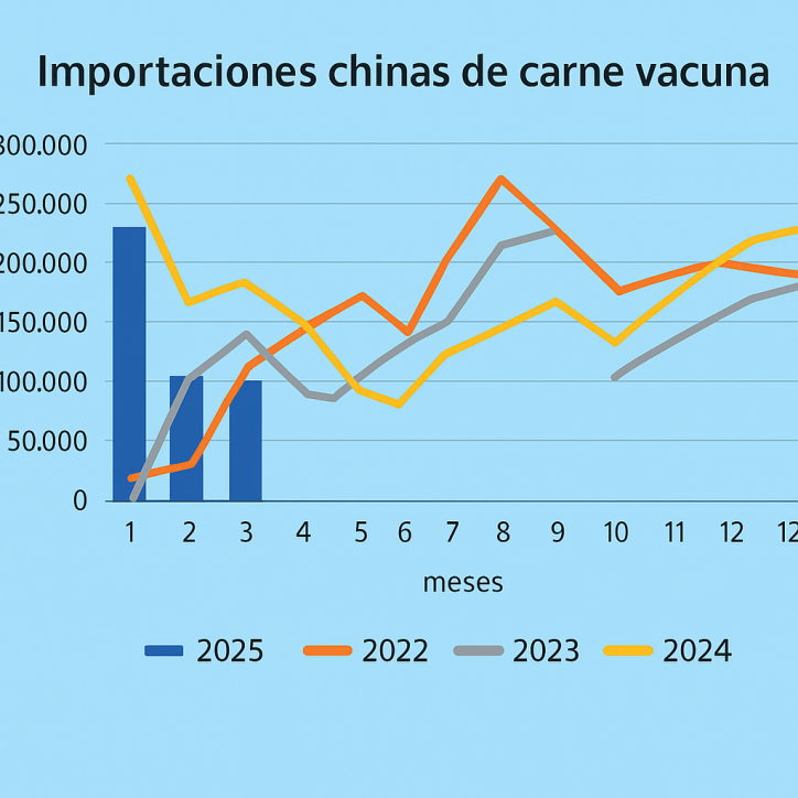 China sigue recortando compras de carne vacuna: caen importaciones y cambian los líderes del mercado