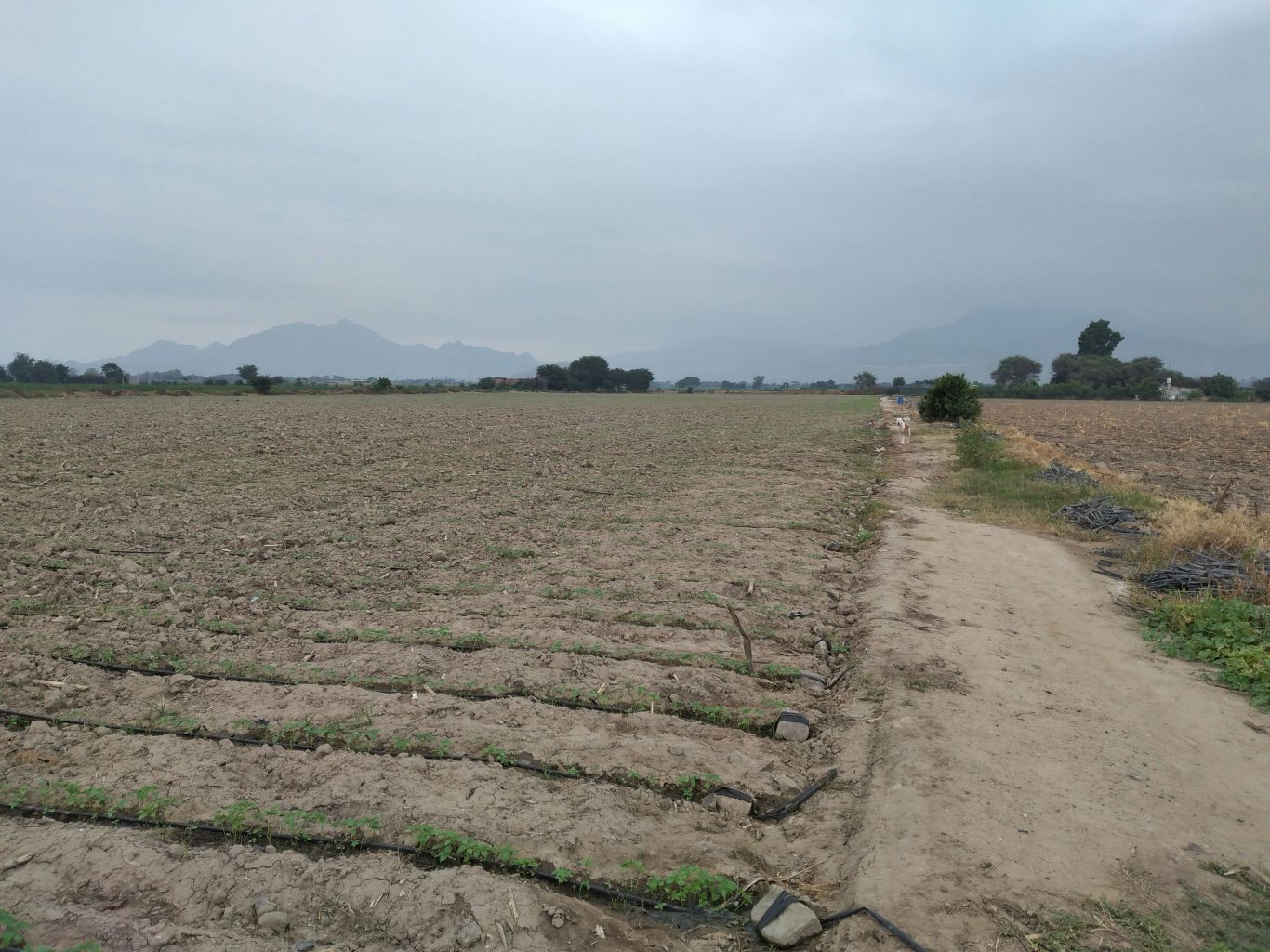 Nos estamos quedando sin agua y sin futuro": la sequía y la presión de EE.UU. acorralan a los productores del norte de México