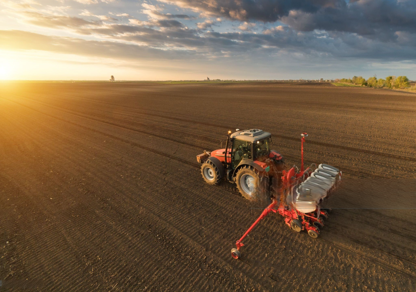 El trigo entra en temporada alta: señales del mercado global que ya impactan en Argentina