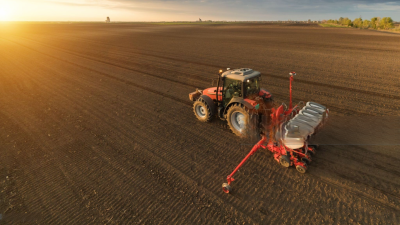 El trigo entra en temporada alta: señales del mercado global que ya impactan en Argentina