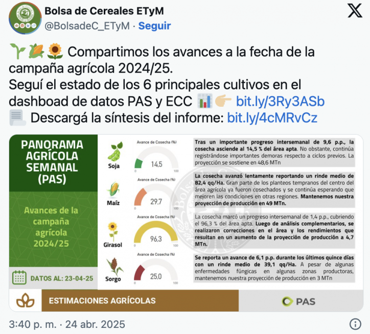 Girasol en auge: la histrica cosecha que enciende la nueva esperanza del agro argentino