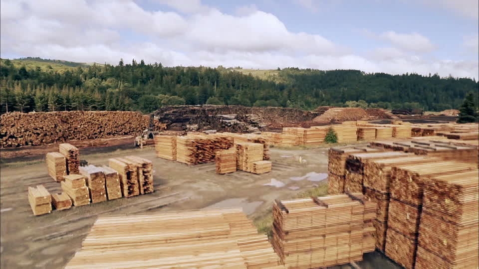 Exportaciones de madera: fuerte crecimiento en volumen y valor durante el primer bimestre de 2025