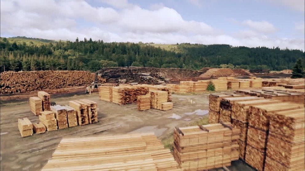 Exportaciones de madera: fuerte crecimiento en volumen y valor durante el primer bimestre de 2025