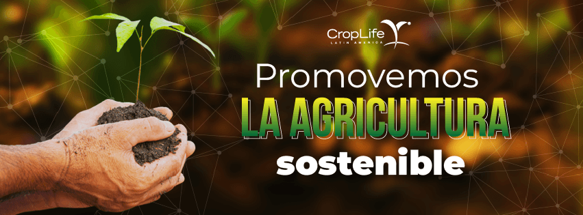La agricultura latinoamericana pide más innovación y combate al comercio ilegal, alerta CropLife