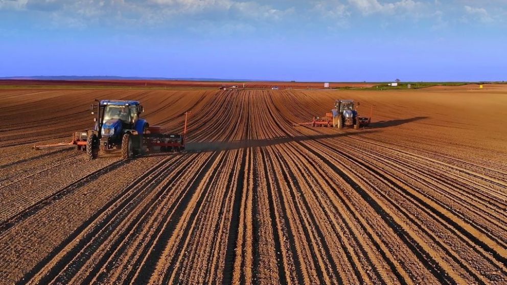 Campaa fina con clima neutro: qu anticipan los pronsticos y cundo podra llegar La Nia