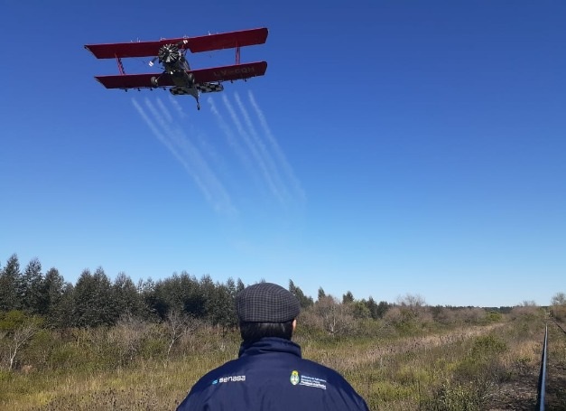 Congreso Mercosur: La aviación agrícola como herramienta clave  contra la langosta