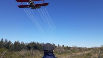 Congreso Mercosur: La aviación agrícola como herramienta clave  contra la langosta