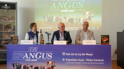 Se viene la Semana Angus 2025: excelencia genética y ganadera