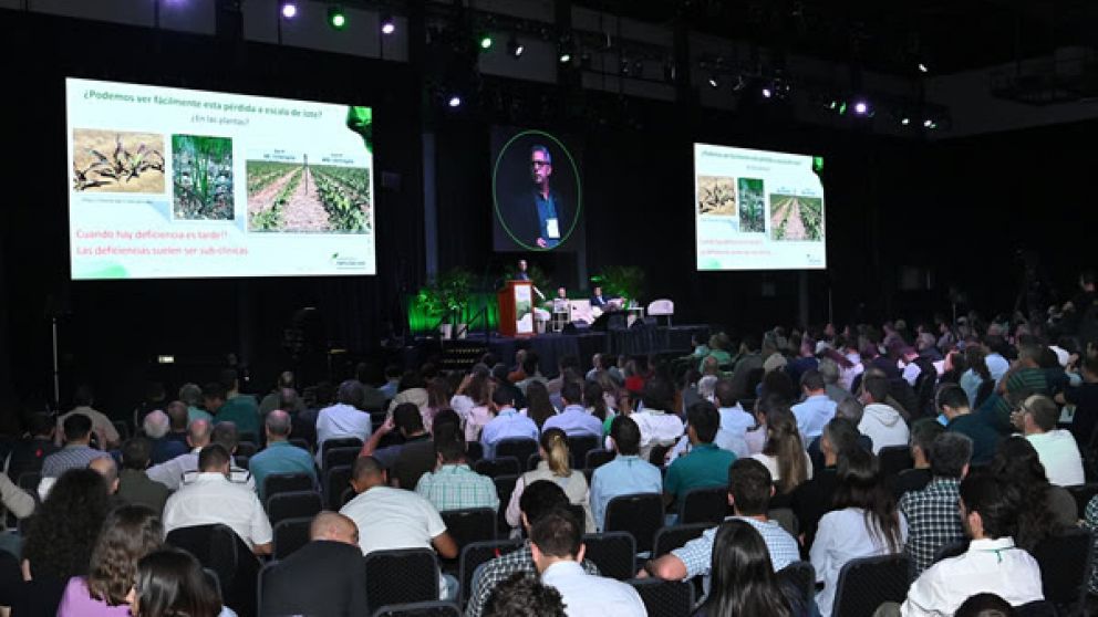 Alerta por el fsforo: Argentina pierde 6 kilos por hectrea al ao y compromete el futuro productivo
