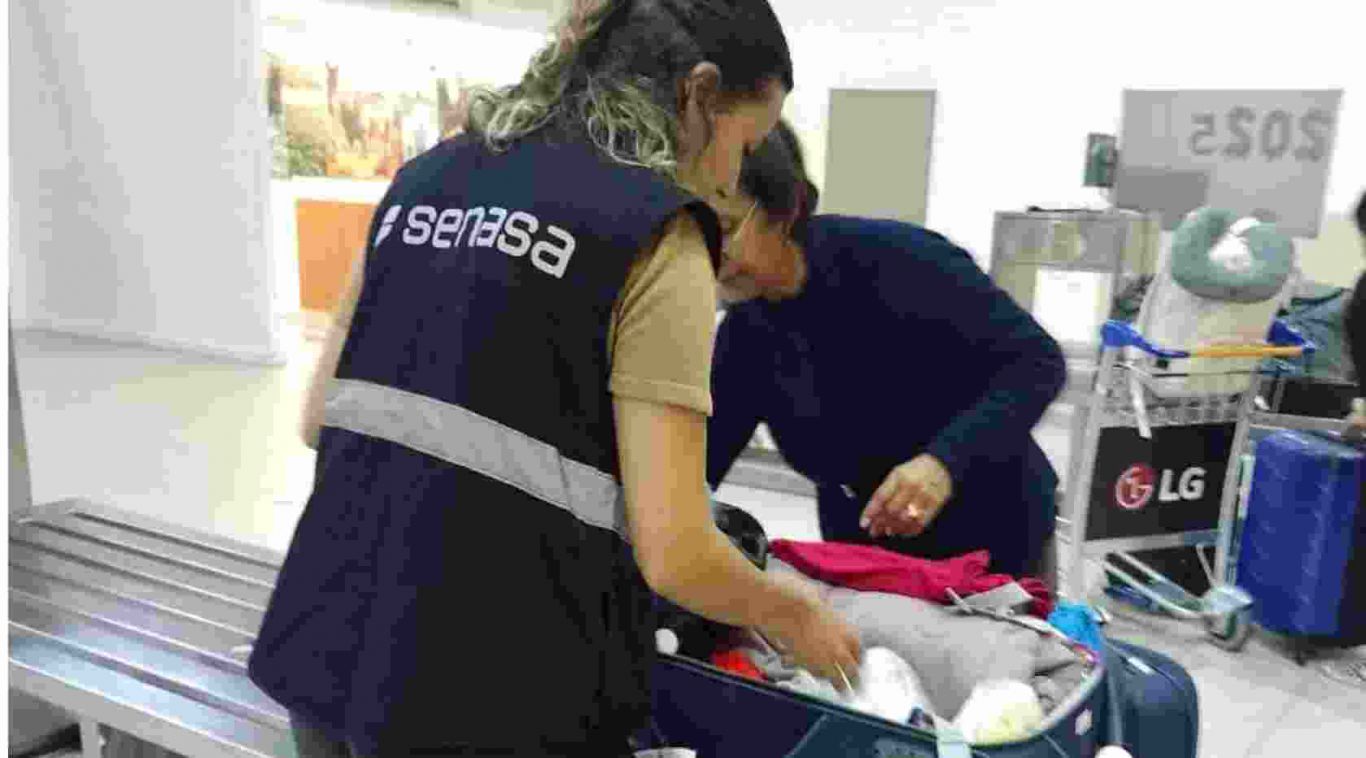 AMBA: Decomiso de más de 13 toneladas de productos de ingreso no permitido al país