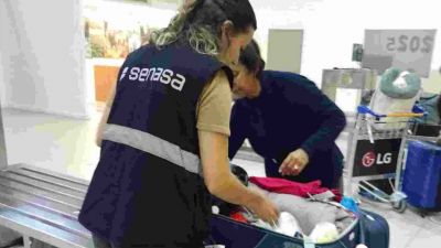 AMBA: Decomiso de más de 13 toneladas de productos de ingreso no permitido al país