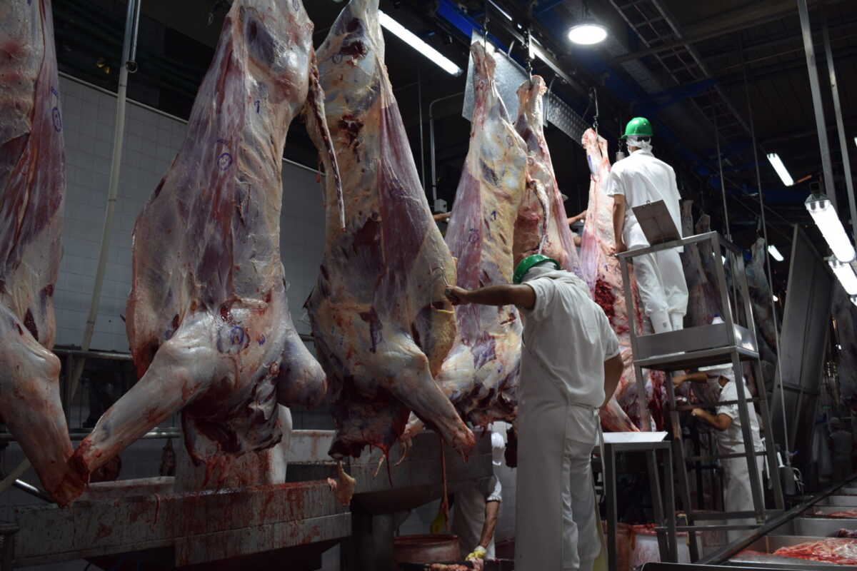 Paraguay inicia faena kosher en siete frigoríficos y consolida exportaciones a Israel