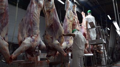 Paraguay inicia faena kosher en siete frigoríficos y consolida exportaciones a Israel