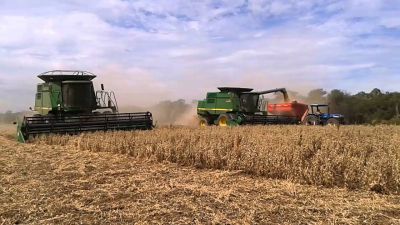 Crisis en el agro Boliviano de Cochabamba: el dólar paralelo y la falta de combustible paralizan a los productores