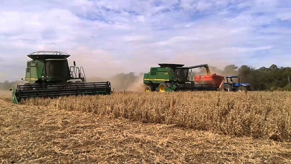 Crisis en el agro Boliviano de Cochabamba: el dlar paralelo y la falta de combustible paralizan a los productores