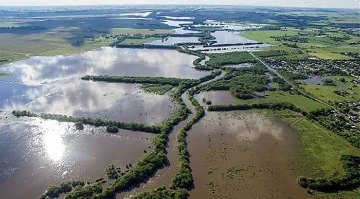 Emergencia Agropecuaria: proponen asistencia de $130.000 millones y quita de retenciones para productores afectados
