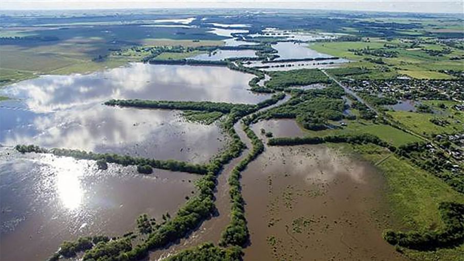 Inundaciones en el norte bonaerense: miles de hectáreas bajo agua, animales  muertos y silobolsas destruidos - Agrolatam
