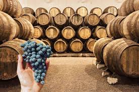 Economías regionales en crisis: yerba, vino y cítricos llevan un año en rojo