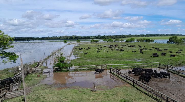De la sequía al diluvio: 270 milímetros en 10 horas golpearon al norte santafesino