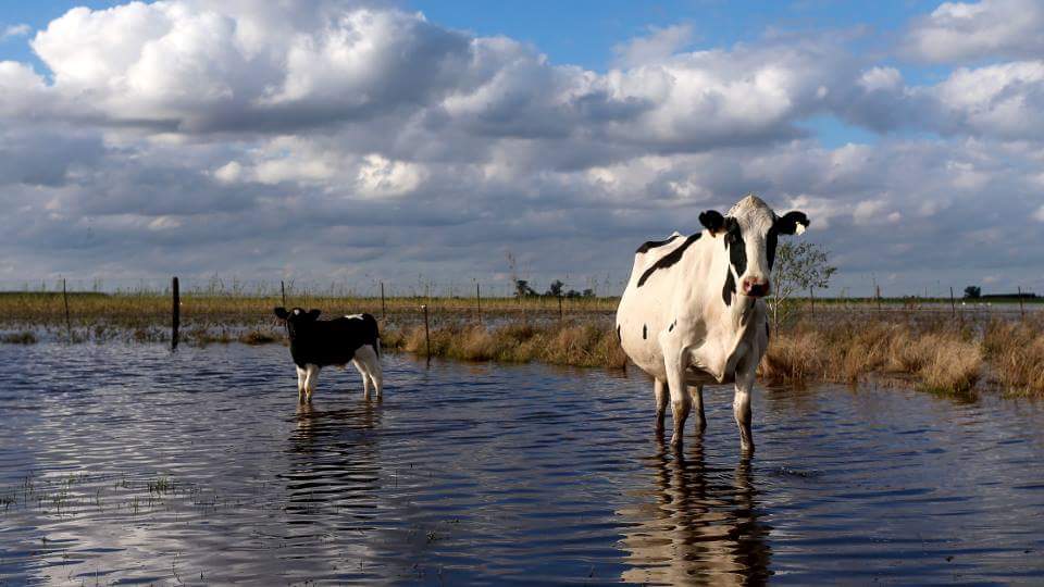 De la sequía al diluvio: 270 milímetros en 10 horas golpearon al norte santafesino