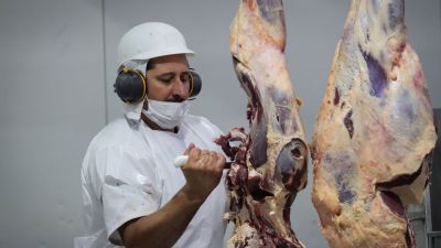 Carne en el mundo: precios en alza, exportaciones en baja y señales de alerta