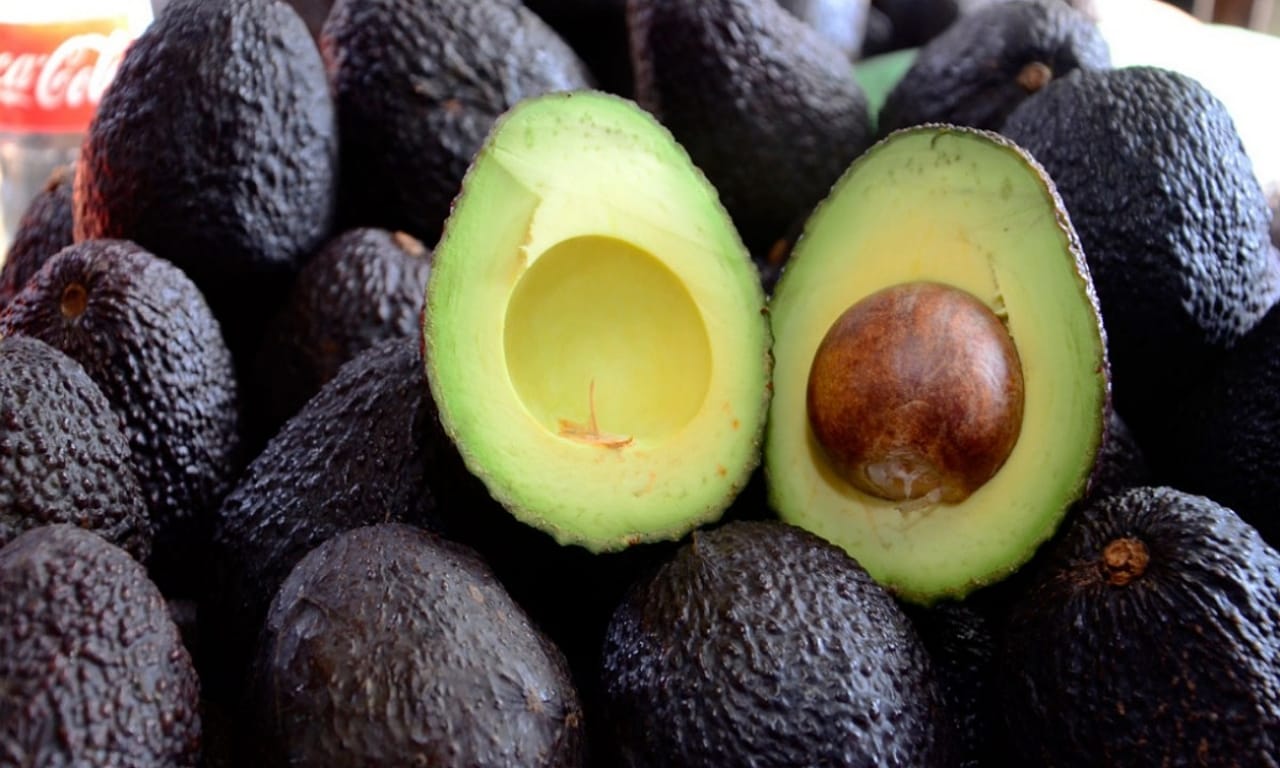 El aguacate colombiano sigue apostando por EE.UU. pese al arancel de Trump: "Llegar a Asia nos toma 25 días"