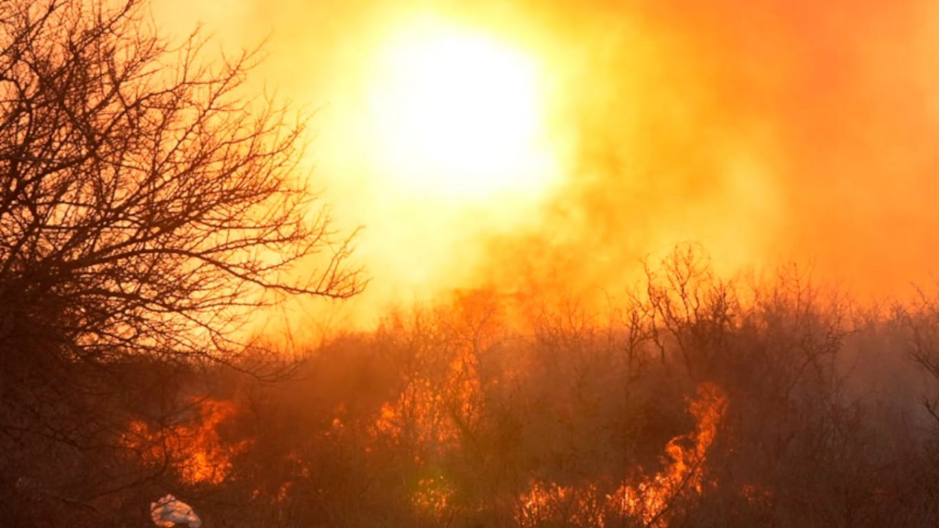 Incendios en el Amazonas disparan la pérdida de bosques tropicales a niveles récord en 2024