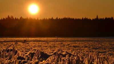 Frente frío y lluvias desparejas: el agro argentino se enfrenta a una semana de contrastes climáticos