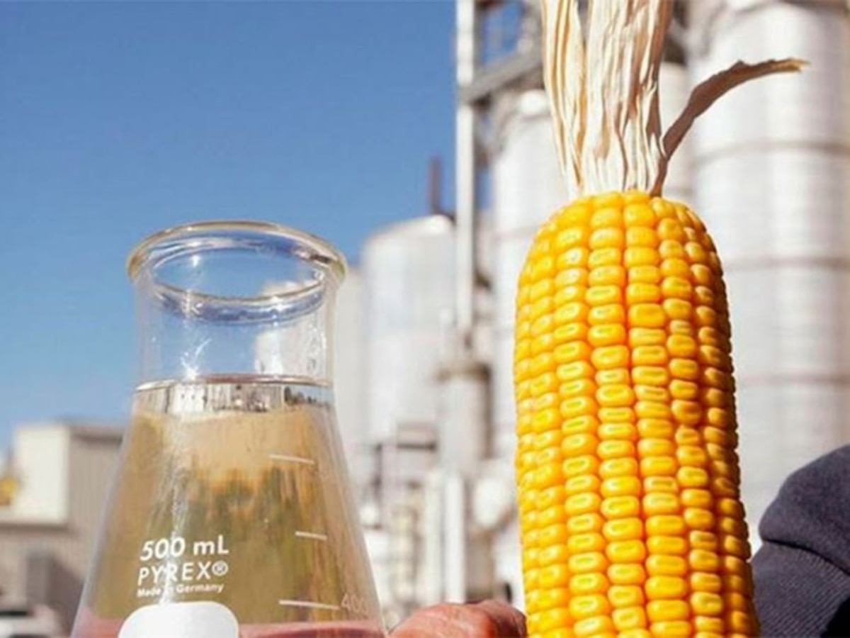  Impulso al bioetanol: proponen inversiones por USD 400 millones para potenciar el maíz argentino
