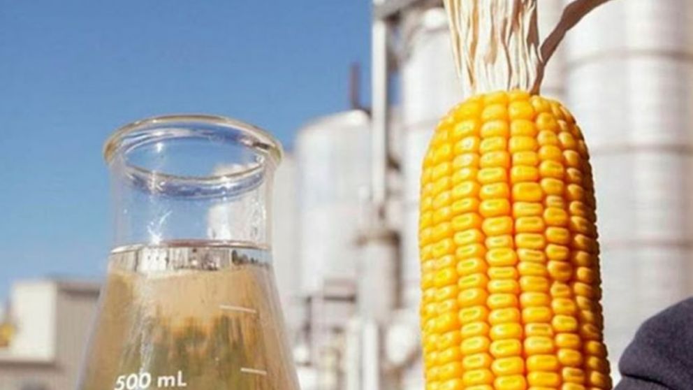  Impulso al bioetanol: proponen inversiones por USD 400 millones para potenciar el maz argentino