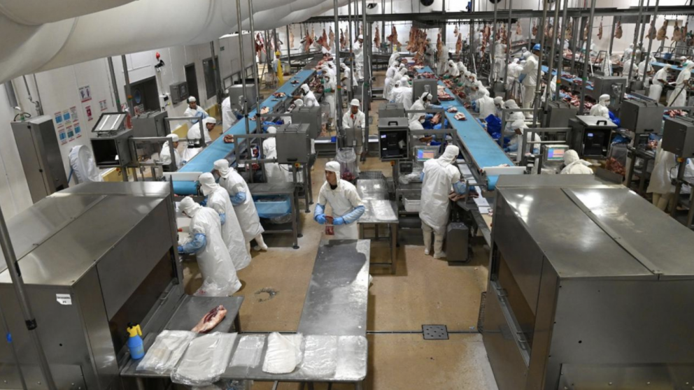 La carne argentina pierde terreno en el mundo: suben los costos y caen las exportaciones